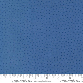 The image is a close-up of a fabric with a blue star pattern.