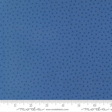 The image is a close-up of a fabric with a blue star pattern.