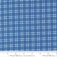 a close-up view of a fabric with a blue and white checkered pattern. The fabric appears to be made of a material with a grid-like texture, which creates a visually appealing and textured appearance.