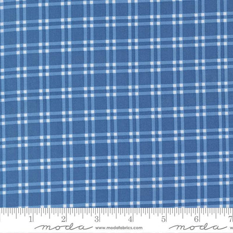 a close-up view of a fabric with a blue and white checkered pattern. The fabric appears to be made of a material with a grid-like texture, which creates a visually appealing and textured appearance.