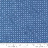 The image is a close-up of a fabric with a blue pattern, featuring small white dots or flowers arranged in a grid-like pattern.