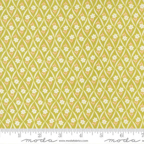 a repeating pattern of white flowers on a yellow background.