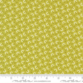 The image is a repeating pattern of small white flowers on a yellow background.