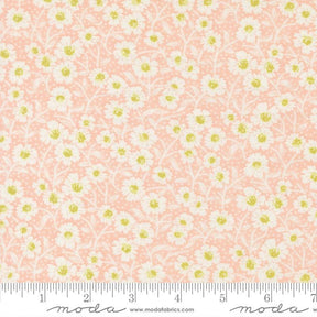 a repeating pattern of white and yellow flowers on a peach-colored background.