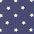 a pattern of white stars against a navy blue background with red polka dots.
