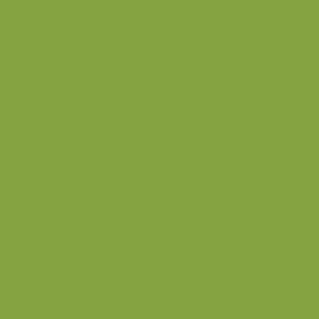 Tula Pink Designer Essentials Matcha Solid Yardage Basic Solid by Free Spirit Fabrics SKU# CSFSESS-GLACI Sold in 1/2 yard increments