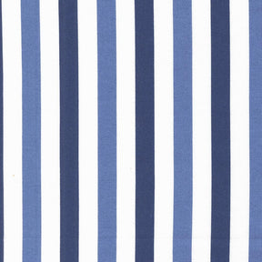 a repeating pattern of blue and white vertical stripes.