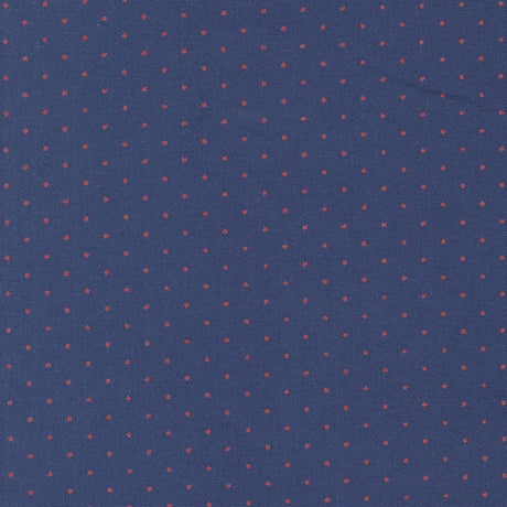 a close-up view of a fabric with a pattern of small red dots against a navy blue background.