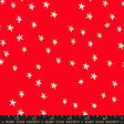 Starry New LadyBug by Alexia Abegg RS4109-74 for Ruby Star Society Sold in 1/2 yard increments