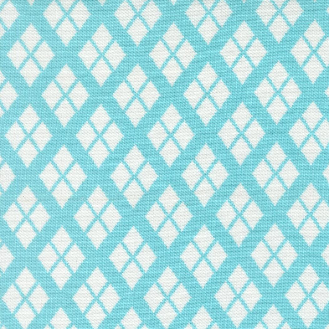 a repeating pattern of diamond shapes in shades of blue and white, creating a visually striking and symmetrical design.