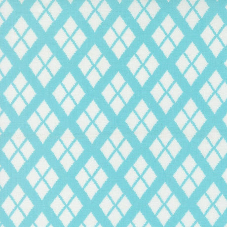 a repeating pattern of diamond shapes in shades of blue and white, creating a visually striking and symmetrical design.