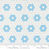 a repeating pattern of blue hexagonal shapes on a white background.