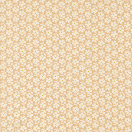 a repeating pattern of white flowers on a beige background.
