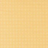a repeating pattern of small white circles arranged in a diagonal grid, creating a visually striking and symmetrical design.