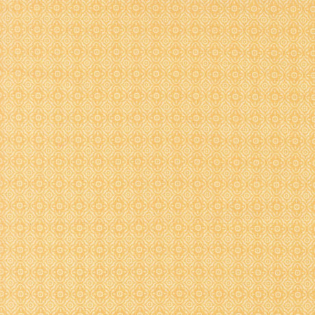 a repeating pattern of small white circles arranged in a diagonal grid, creating a visually striking and symmetrical design.