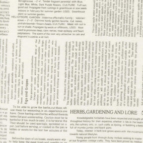 a collage of various texts and images related to gardening and herbs, including phrases such as "Herbs, Gardening and Lore", "The scent of the root very attractive to cats and dogs", and "The most attractive to cats and dogs". The text appears to be a mix of descriptive phrases and instructions related to gardening and the use of herbs.
