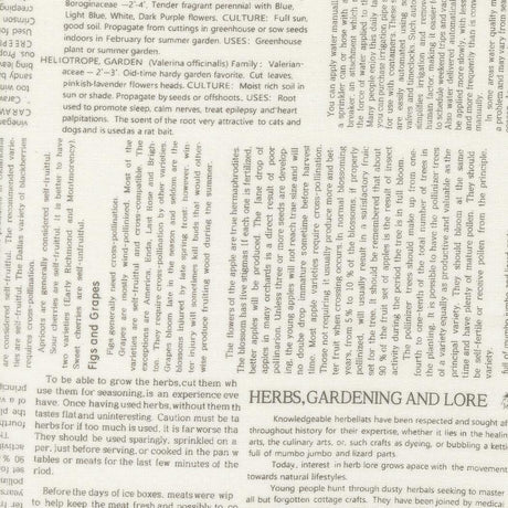 a collage of various texts and images related to gardening and herbs, including phrases such as "Herbs, Gardening and Lore", "The scent of the root very attractive to cats and dogs", and "The most attractive to cats and dogs". The text appears to be a mix of descriptive phrases and instructions related to gardening and the use of herbs.