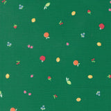 a variety of colorful fruits, including apples, oranges, and cherries, scattered across a green background.