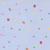 a variety of colorful fruits, including apples, oranges, and berries, scattered across a light blue background.