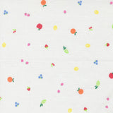 a variety of colorful fruits, including apples, oranges, and berries, scattered across a white background.
