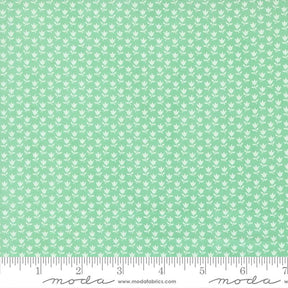 The image is a repeating pattern of small white flowers or leaves on a light green background.