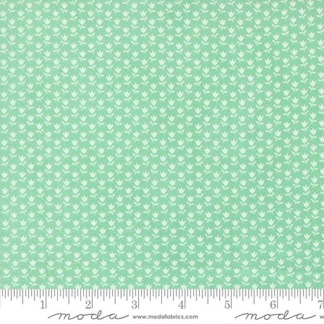 The image is a repeating pattern of small white flowers or leaves on a light green background.