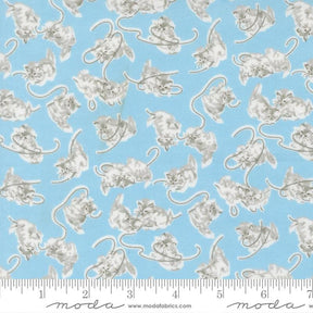 a repeating pattern of gray and white cats against a light blue background.