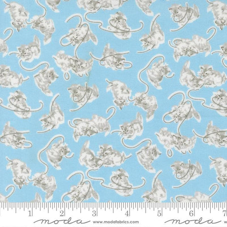 a repeating pattern of gray and white cats against a light blue background.