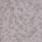 Eerily Elegant Gray Sku 19817 14 by Deb Strain for Moda Fabrics sold in 1/2 Yard Increments