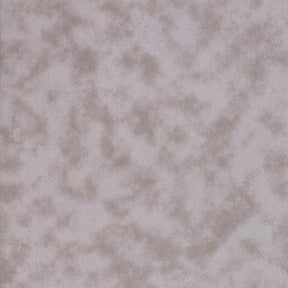 Eerily Elegant Gray Sku 19817 14 by Deb Strain for Moda Fabrics sold in 1/2 Yard Increments
