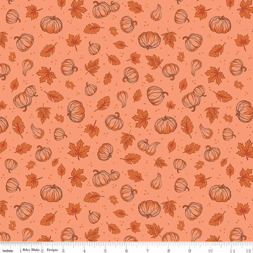 Cozy Autumn Pumpkins Melon