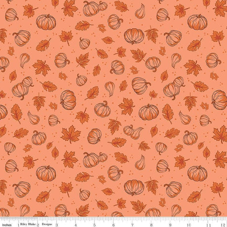 Cozy Autumn Pumpkins Melon