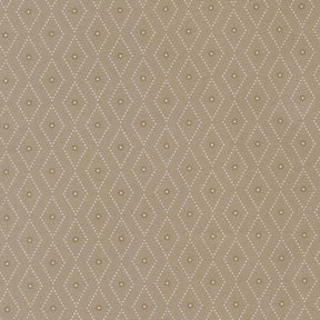 a repeating pattern of small white dots arranged in a diamond shape, creating a diamond-like design.