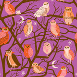The image is a vibrant and whimsical pattern featuring a variety of owls perched on tree branches against a purple background. The owls are depicted in different sizes and colors, creating a lively and dynamic scene. The pattern includes a mix of owls in the foreground and background, as well as owls perched on the branches of the trees. The overall composition is visually engaging and captures the essence of owls in a natural setting.