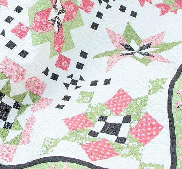 My Secret Garden Block of the Month Quilt Pattern TAT310 by Sherri Falls for This and That Printed Pattern Only