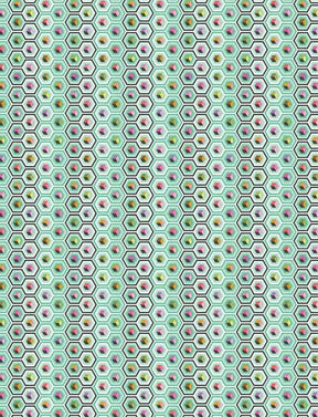 Deja Vu Prince Charming Sweet Mint Hex Box Yardage PWTP280-SweetMint by Tula Pink for Free Spirit Fabrics 1/2 yard increments