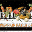 Pumpkin Patch Barn Dance Border Stripe White CD14573-WHITE by J. Wecker Frisch for Riley Blake Designs Sold in 1/2 Yard Incremdnts