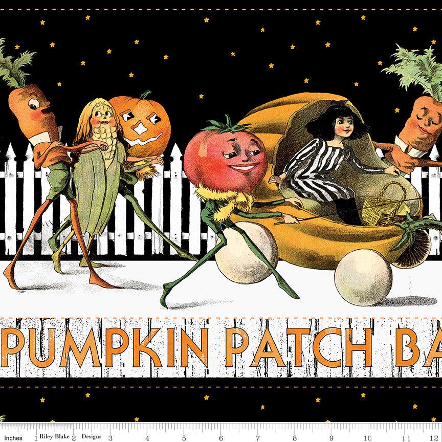 Pumpkin Patch Barn Dance Border Stripe White CD14573-WHITE by J. Wecker Frisch for Riley Blake Designs Sold in 1/2 Yard Incremdnts