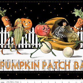 Pumpkin Patch Barn Dance Border Stripe White CD14573-WHITE by J. Wecker Frisch for Riley Blake Designs Sold in 1/2 Yard Incremdnts