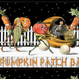 Pumpkin Patch Barn Dance Border Stripe White CD14573-WHITE by J. Wecker Frisch for Riley Blake Designs Sold in 1/2 Yard Incremdnts