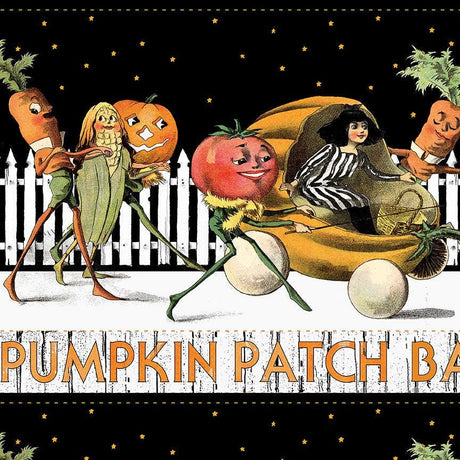 Pumpkin Patch Barn Dance Border Stripe White CD14573-WHITE by J. Wecker Frisch for Riley Blake Designs Sold in 1/2 Yard Incremdnts