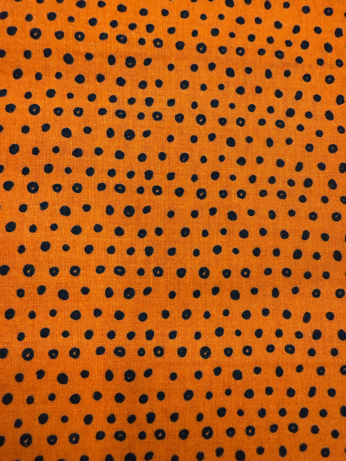 Cats Bats and Jacks, Dots Orange Yardage SKU: C8056-ORANGE by My Mind's Eye for Riley Blake Designs