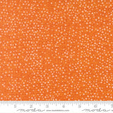 The image is a close-up of a fabric with a pattern of small white dots or specks on an orange background.