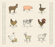 Farmstead Fabric Panel by Stacy Iest Hsu, 100% Cotton, Novelty Farm Animals Sold in 1 Yard increments for Moda Fabrics 20908 12