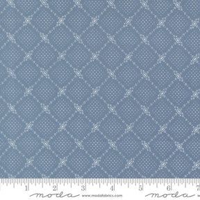 The image is a close-up of a fabric with a diamond pattern, featuring a repeating diagonal grid of small white dots or lines.