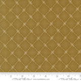 a repeating pattern of small white dots arranged in a diamond shape, creating a visually striking and intricate design.