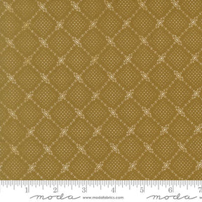 a repeating pattern of small white dots arranged in a diamond shape, creating a visually striking and intricate design.