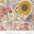 The image is a collage of various illustrations related to flowers, including a sunflower, a butterfly, and other floral designs.