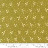 Butternut And Sage Acorn Medley Sage Yardage 35445-13 By Fig Tree & Co Sold In 1/2 Yard Increments Cut Continuously