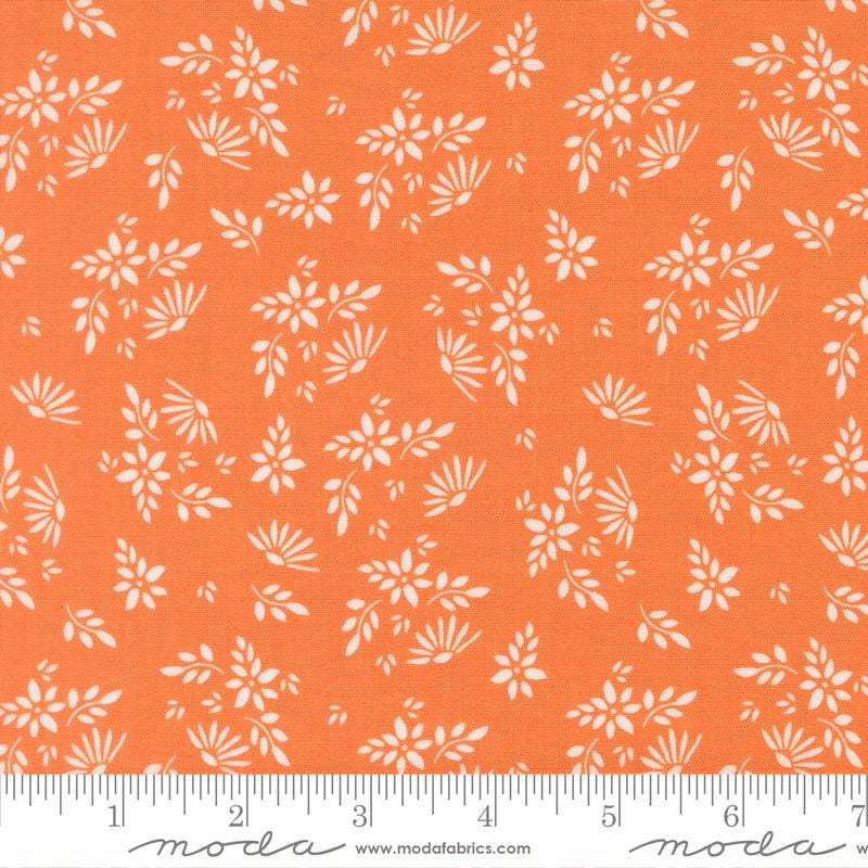 The image is a repeating pattern of white flowers on an orange background.